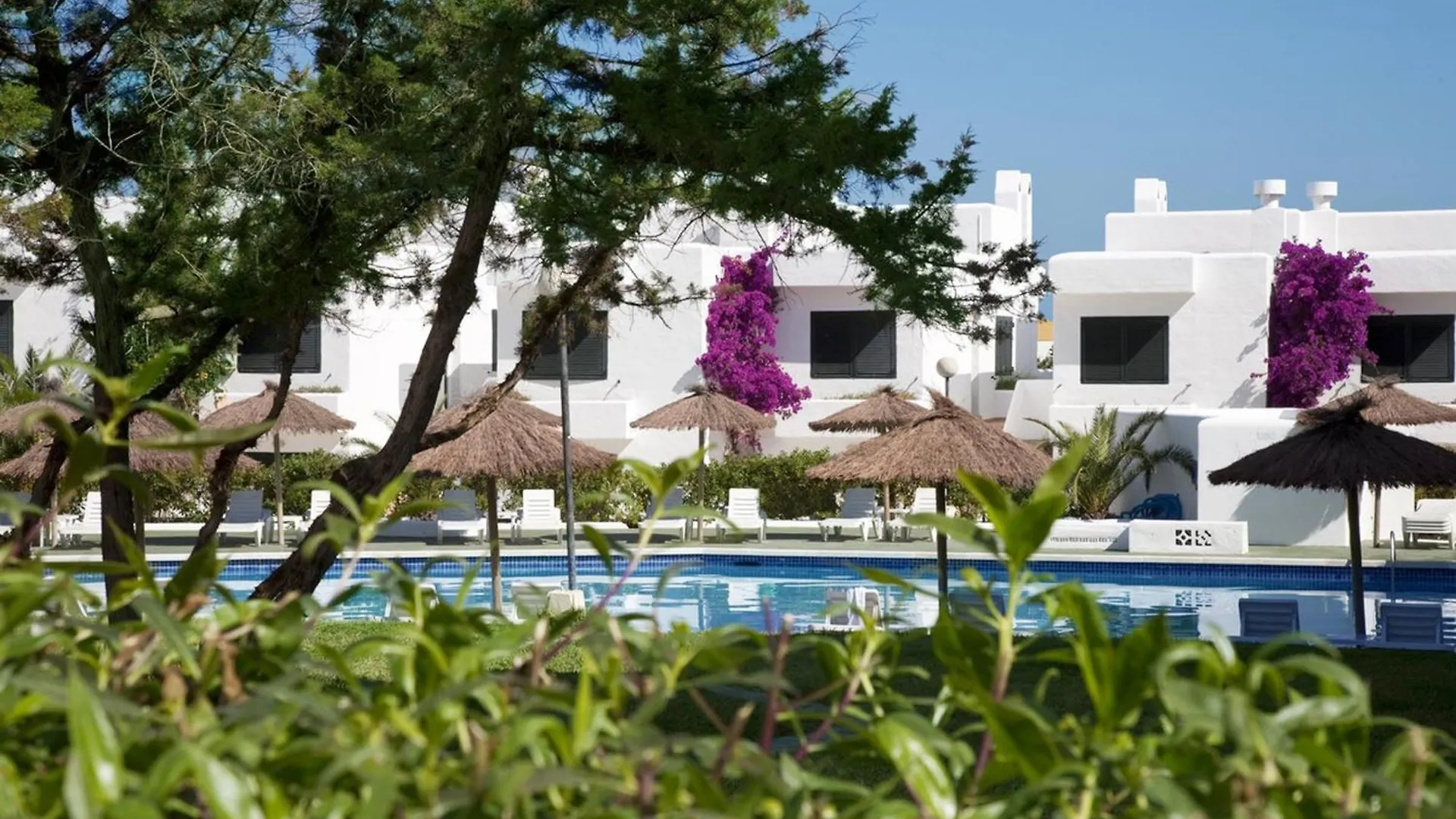 Camelina Suites Sant Antoni de Portmany 3*,  İspanya